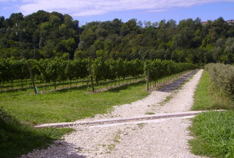 Красивейшие виноградники Просекко DOCG San Pietro di Feletto