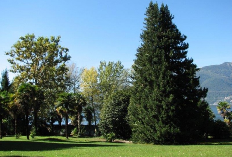 AOK47 историческая вилла с парком на первой линии озера Маджоре