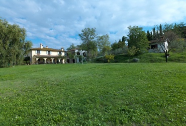 DAU479 вилла с виноградником и оливковым полем в  Тоскане 