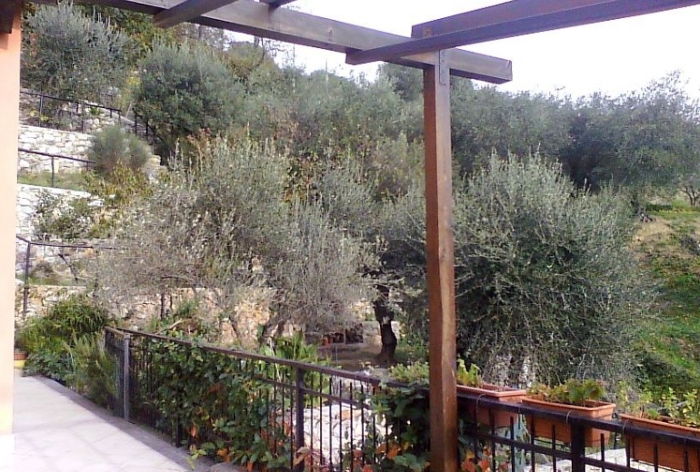 DIK264 Финале Лигуре. Красивая вилла с оливковым садом.