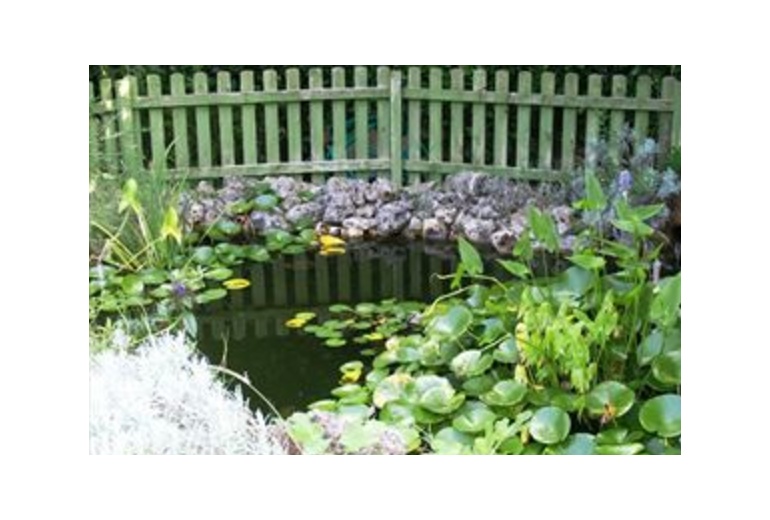 AASL110 Вилла в аренду Форте-дей-Марми с красивым садом и бассейном