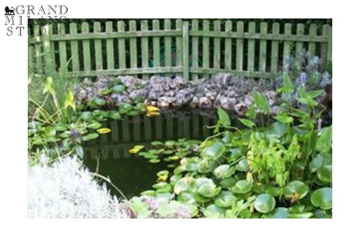 AASL110 Вилла в аренду Форте-дей-Марми с красивым садом и бассейном