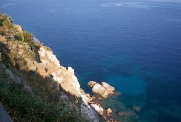 2941. Тоскана. Isola d’Elba. SANT'ANDREA