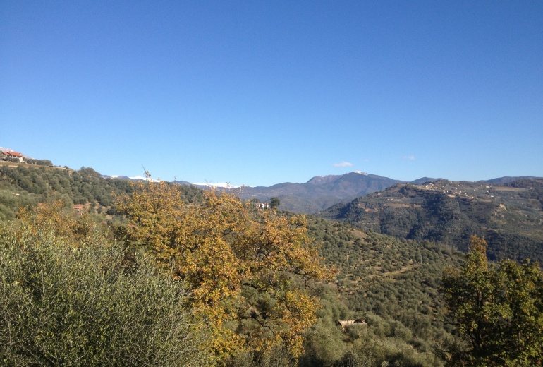 DOK115. Вилла с панорамным видом на горы в Лигурии в Dolceacqua