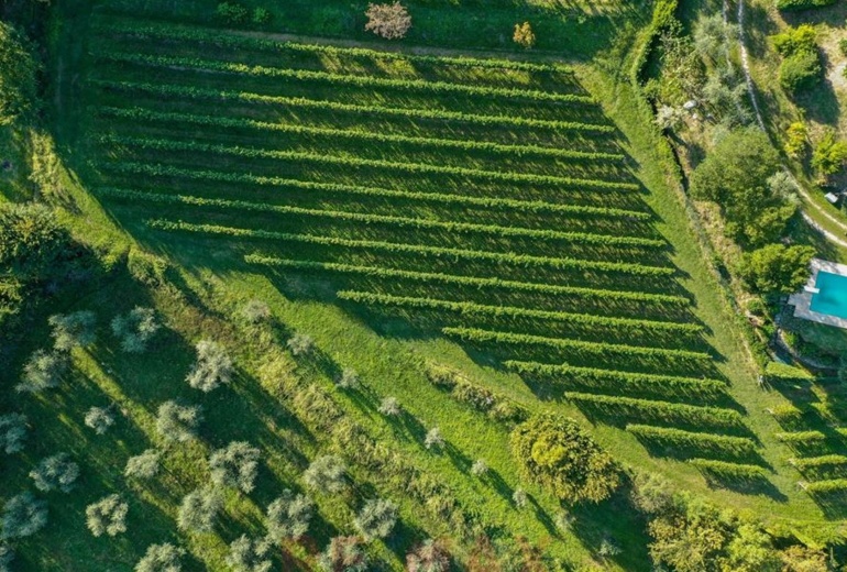 ATIM213. Вилла с виноградником и оливковой рощей в Pugnano del Garda