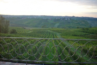 ATIM94. Винодельческое хозяйство в провинции Piacenza 